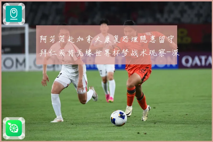 阿芳若赴加拿大康复恐埋隐患留守拜仁或将无缘世界杯梦战术观察-深度解析