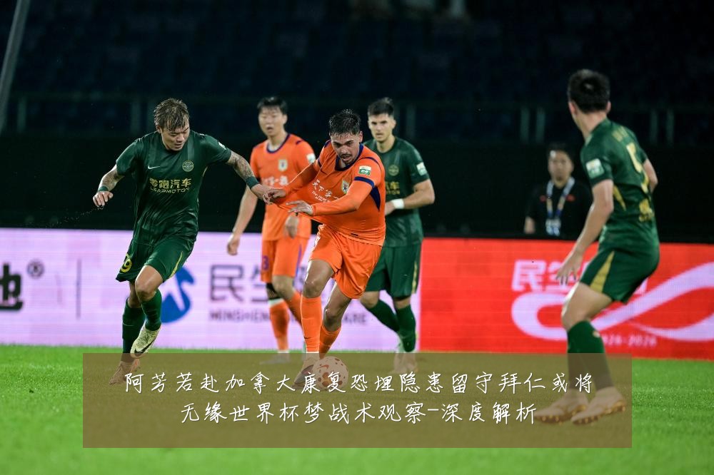 阿芳若赴加拿大康复恐埋隐患留守拜仁或将无缘世界杯梦战术观察-深度解析