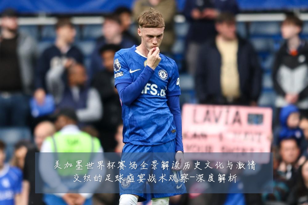 美加墨世界杯赛场全景解读历史文化与激情交织的足球盛宴战术观察-深度解析